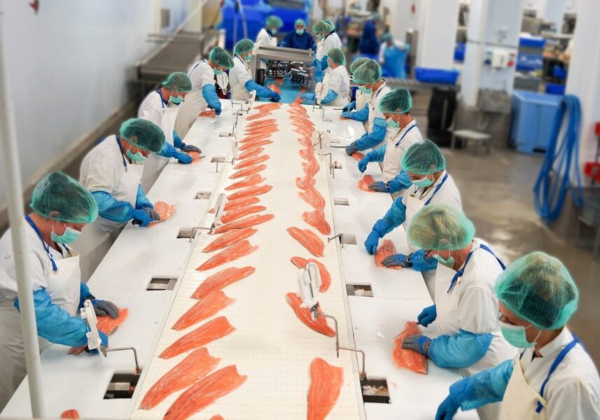 FISH PRODUCTION