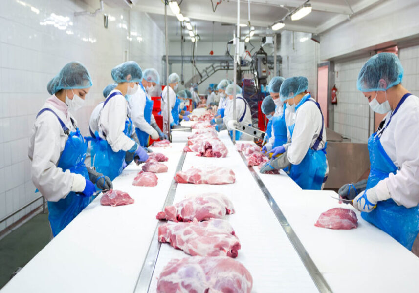 BACON PRODUCTION WORKER